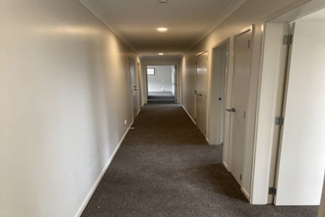 Photo of property in 10 Ash Lane, Omokoroa, 3114