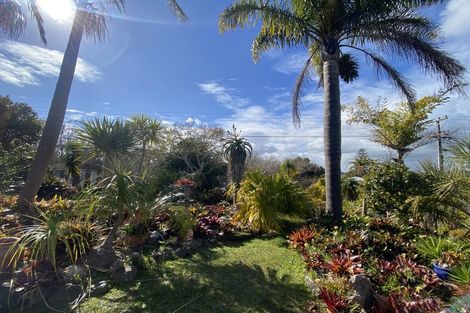 Photo of property in 164 Hokianga Road, Dargaville, 0310