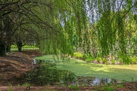 Photo of property in 162 Neal Road, Spring Creek, Blenheim, 7273