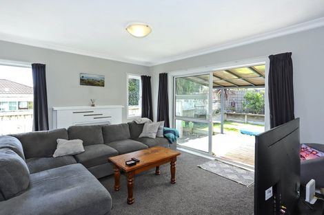 Photo of property in 14 Cook Street, Gate Pa, Tauranga, 3112
