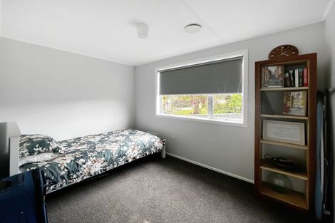 Photo of property in 147 Stanford Street North, Ashhurst, 4810