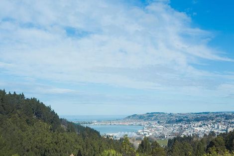 Photo of property in 27 Northfield Avenue, Opoho, Dunedin, 9010