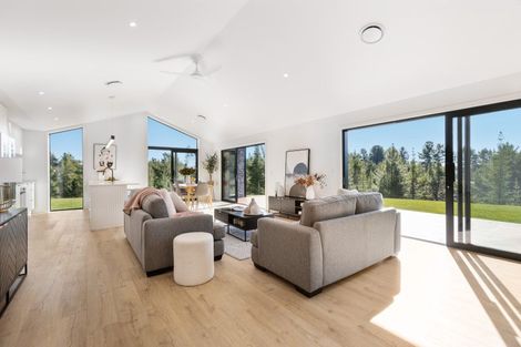 Photo of property in 133c Letts Gully Road, Letts Gully, Alexandra, 9393