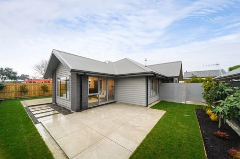 Photo of property in 48 Weston Avenue, Roslyn, Palmerston North, 4414