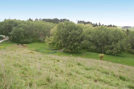 Photo of property in 319 Parekura Road, Kaiwaka, 0573