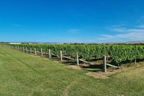 Photo of property in 344 Jones Road, Grovetown, Blenheim, 7273