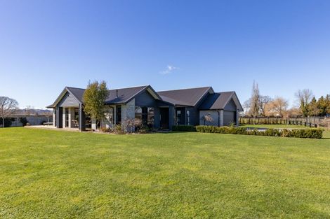 Photo of property in 41 Catalyst Avenue, Leamington, Cambridge, 3432