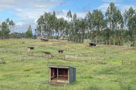 Photo of property in 800 Tuhikaramea Road, Ngahinapouri, Hamilton, 3290