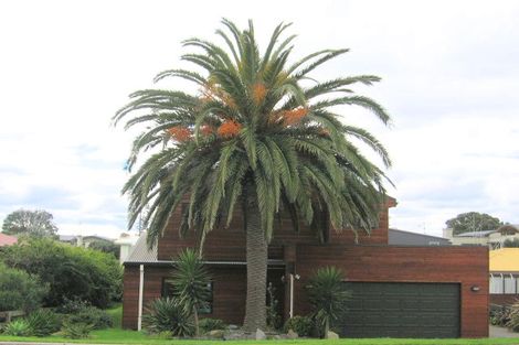 Photo of property in 109 Oceanview Road, Mount Maunganui, 3116