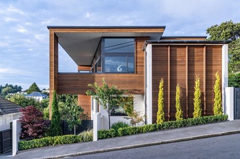 Photo of property in 18 Selkirk Street, Roslyn, Dunedin, 9010