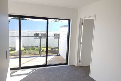 Photo of property in 13 Ti Kouka Lane, Sandringham, Auckland, 1025