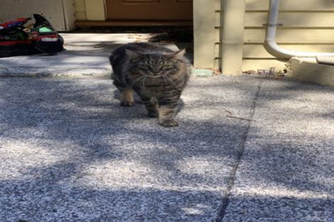 Photo of property in 21 Burnell Avenue, Thorndon, Wellington, 6011