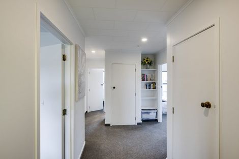 Photo of property in 52 Guppy Road, Greenmeadows, Napier, 4112