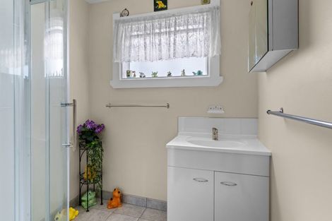 Photo of property in 424 Massey Street, Akina, Hastings, 4122