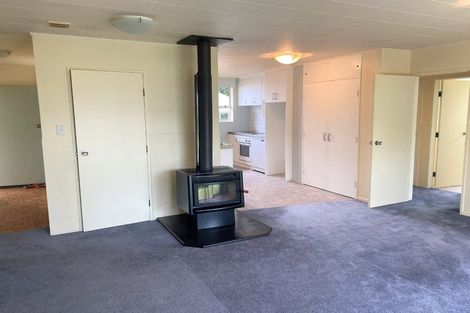 Photo of property in 159 Regent Street, Martinborough, 5711