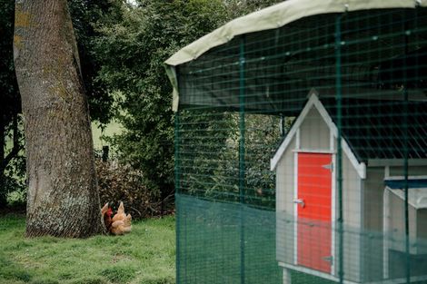 Photo of property in 167b Runciman Road, Pukekohe East, Pukekohe, 2677