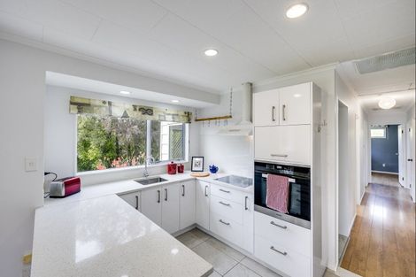 Photo of property in 99 Raupare Road, Twyford, Hastings, 4175