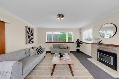 Photo of property in 52 Cambridge Road, Hillcrest, Hamilton, 3216