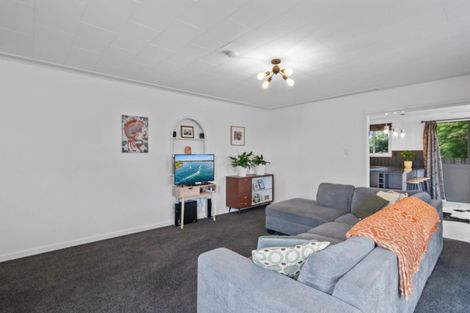 Photo of property in 20 Arawa Street, Gore, 9710