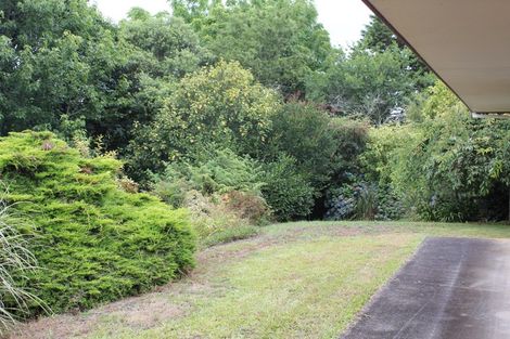 Photo of property in 81a Mcmillan Road, Tahawai, Katikati, 3170