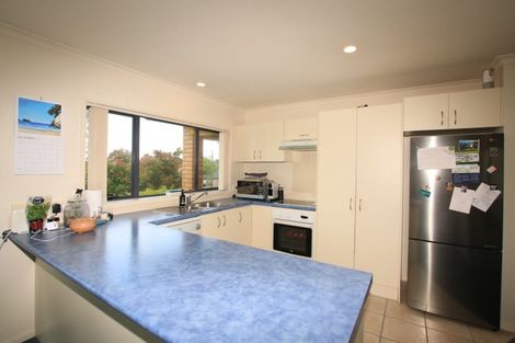 Photo of property in 40 Semillon Avenue, Henderson, Auckland, 0612