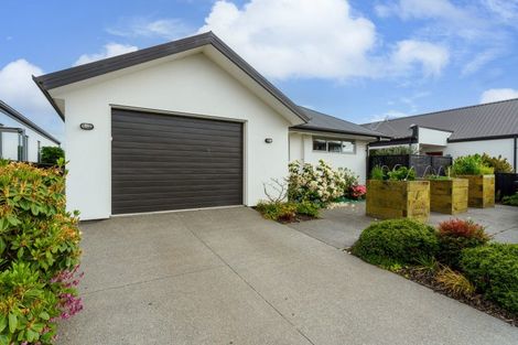 Photo of property in 81 Mary Ellen Street, Pegasus, 7612