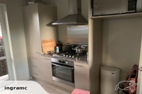 Photo of property in 30a Bond Street, Hamilton East, Hamilton, 3216