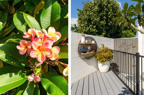 Photo of property in 50 Pembroke Drive, Bethlehem, Tauranga, 3110