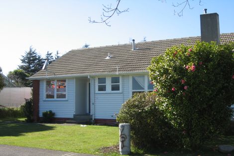 Photo of property in 1 Hinemoa Street, Levin, 5510