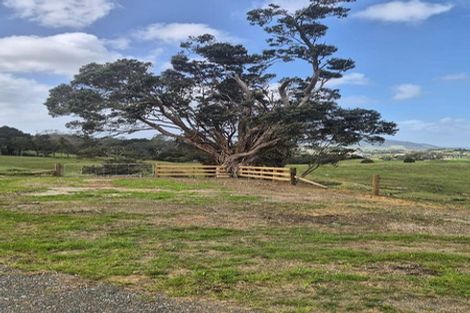Photo of property in 137 Griffin Road, Maungaturoto, 0583