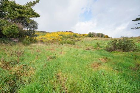 Photo of property in 50 Pearce Street, Bluff, 9814