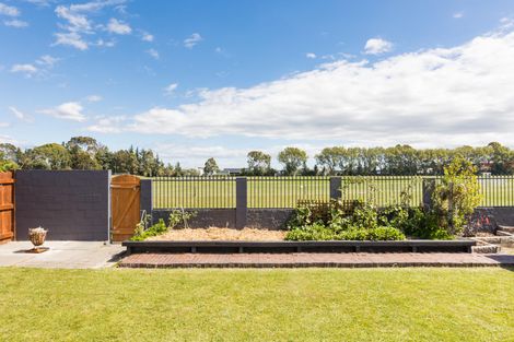 Photo of property in 41 Moyne Avenue, Milson, Palmerston North, 4414