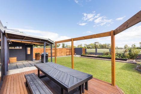 Photo of property in 41 Moyne Avenue, Milson, Palmerston North, 4414