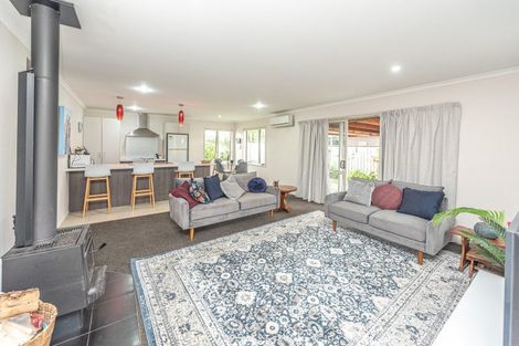 Photo of property in 21 Buckingham Place, Springvale, Whanganui, 4501