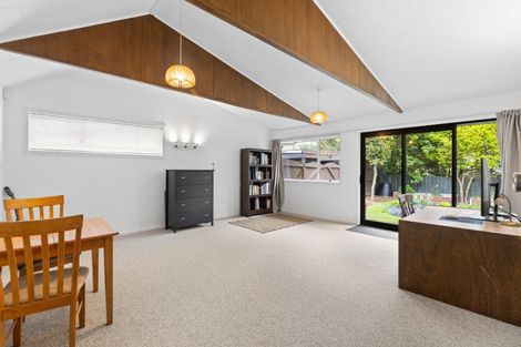 Photo of property in 50 Windsor Street, Terrace End, Palmerston North, 4410