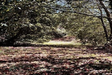 Photo of property in 85b Te Pahi River Drive, Paparoa, Maungaturoto, 0583