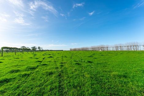 Photo of property in 31 Seaforth Settlement Road, Seadown, Timaru, 7973