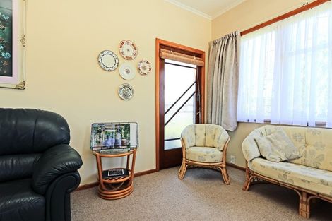 Photo of property in 217 Tudor Avenue, Mayfair, Hastings, 4122