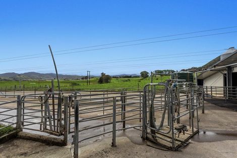 Photo of property in 165 Motu Road, Toatoa, Opotiki, 3197