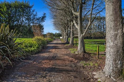 Photo of property in 24 Willow Lane, Edgecumbe, Whakatane, 3192