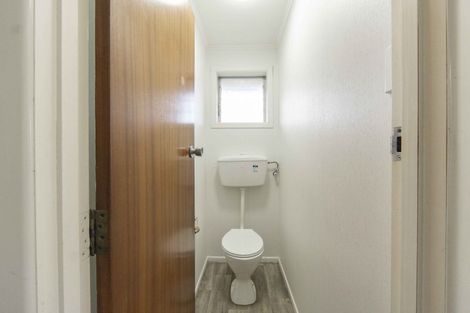 Photo of property in 142 Clarkin Road, Fairfield, Hamilton, 3214