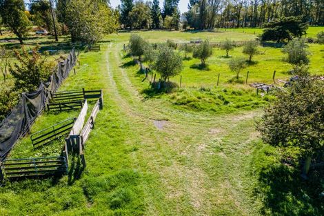 Photo of property in 98 Hendersons Road, Tinwald, Ashburton, 7778