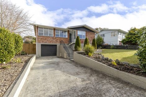 Photo of property in 60 Tavistock Street, Westown, New Plymouth, 4310