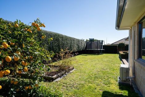 Photo of property in 5 Glenroy Place, Cambridge, 3434