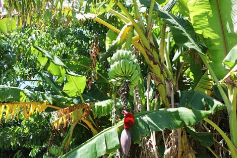 Photo of property in 269 Big Bay Road, Manukau Heads, Waiuku, 2684