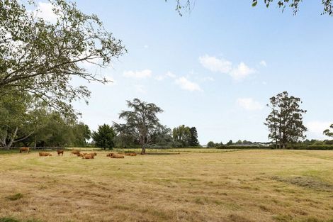 Photo of property in 330a Pencarrow Road, Tamahere, Hamilton, 3283