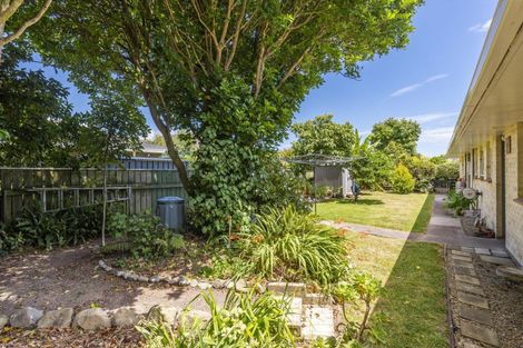 Photo of property in 29b Kanawa Street, Waikanae, 5036