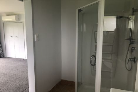 Photo of property in 214 Peacockes Road, Fitzroy, Hamilton, 3282