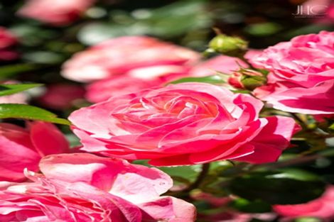 Photo of property in 45b Gladstone Road, Woodend, 7610