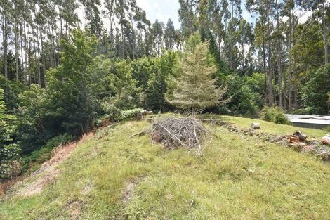 Photo of property in 317 Leith Valley Road, Leith Valley, Dunedin, 9010